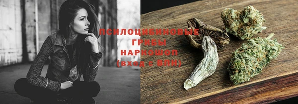 гашик Надым